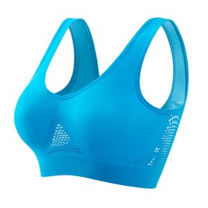 2pcs Premium Women’s Seamless Sports Bra - High-Support Comfort for Yoga, Walking & Daily Activity - Breathable Moisture-Wicking Fabric (S-5XL) - Blue